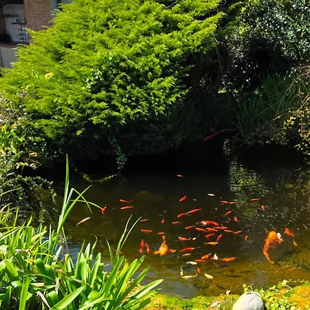 Jardin De Aura فندق Muros de Nalón